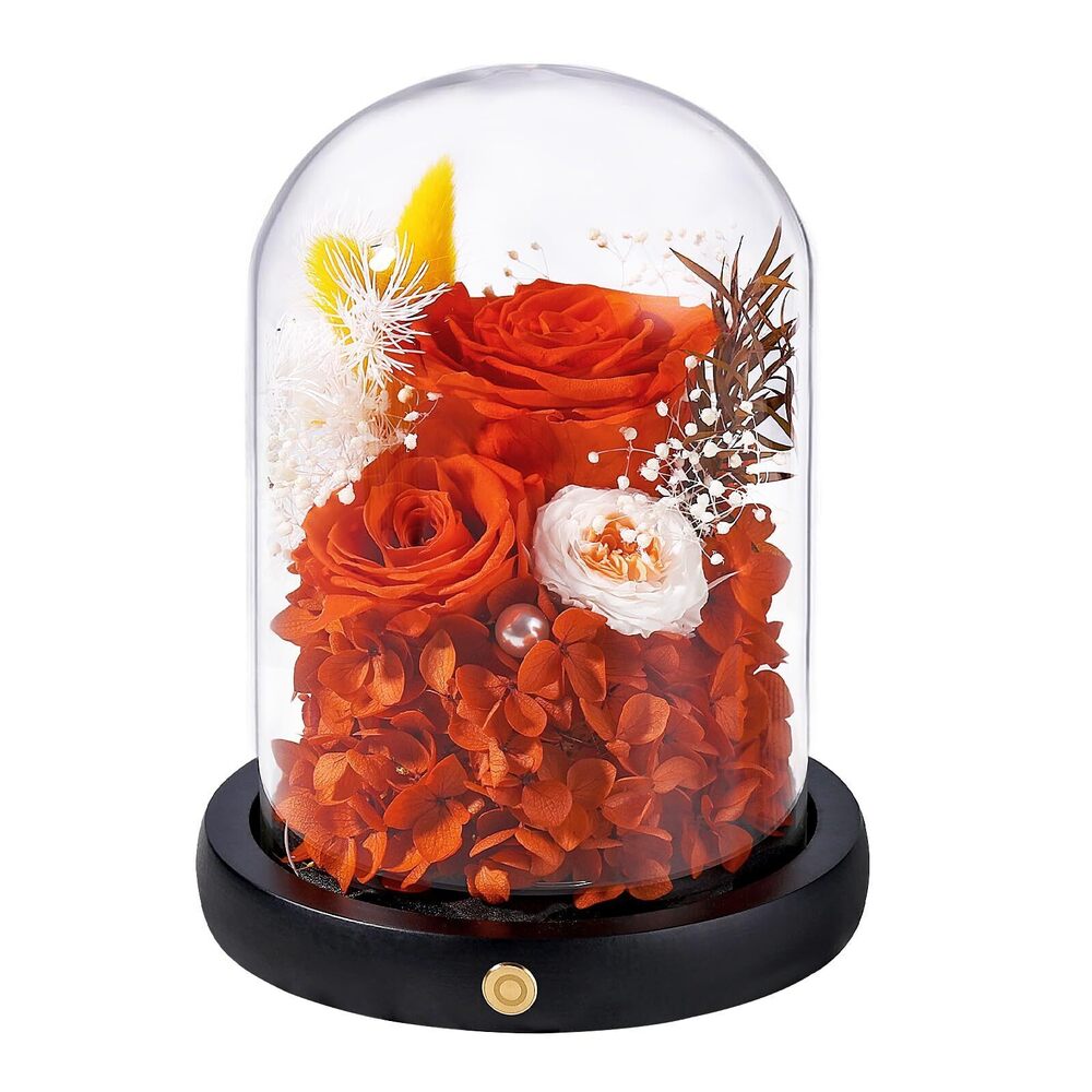 5763 Preserved Flowers Christmas Rose Gifts , Birthday Gifts Eternal Rose